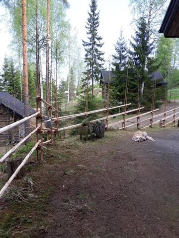 Фотографии Гостевой дом Kinkamon Pirtti г. Кеуруу (Финляндия) №1 Фото Гостевой дом Kinkamon Pirtti г. Кеуруу 1